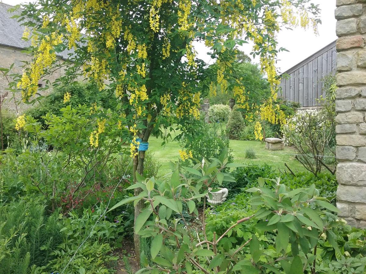 Chambre D'Hote Le 18-20 Saint-Martin-des-Entrées Eksteriør bilde