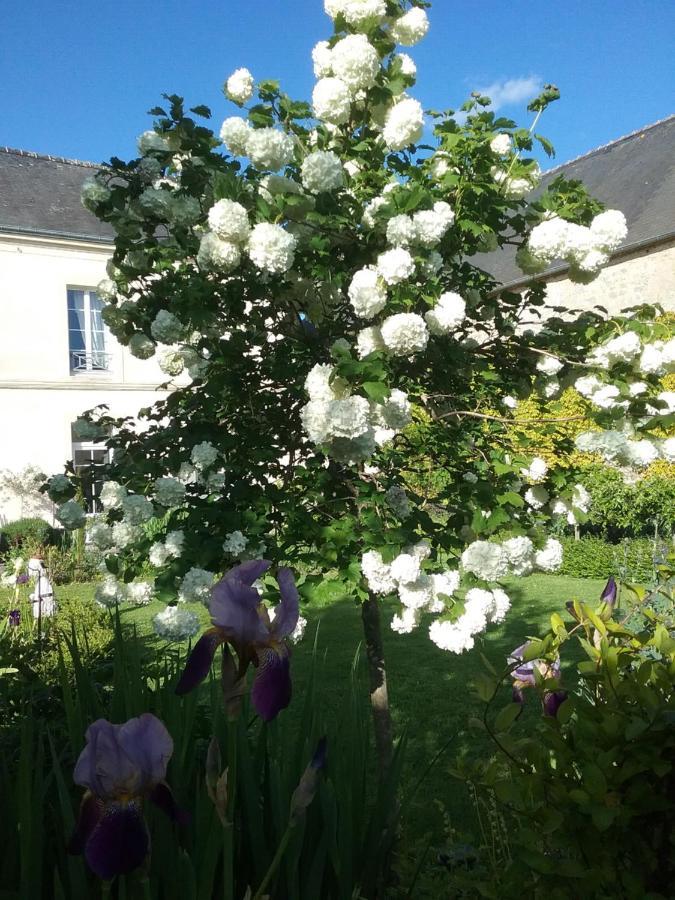 Chambre D'Hote Le 18-20 Saint-Martin-des-Entrées Eksteriør bilde